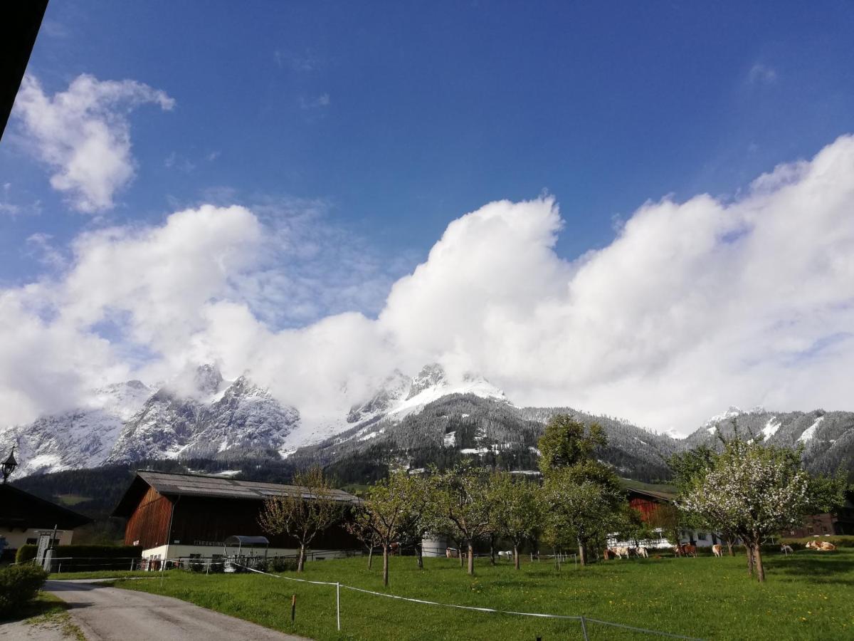 Sonneck Pension Pfarrwerfen Bagian luar foto