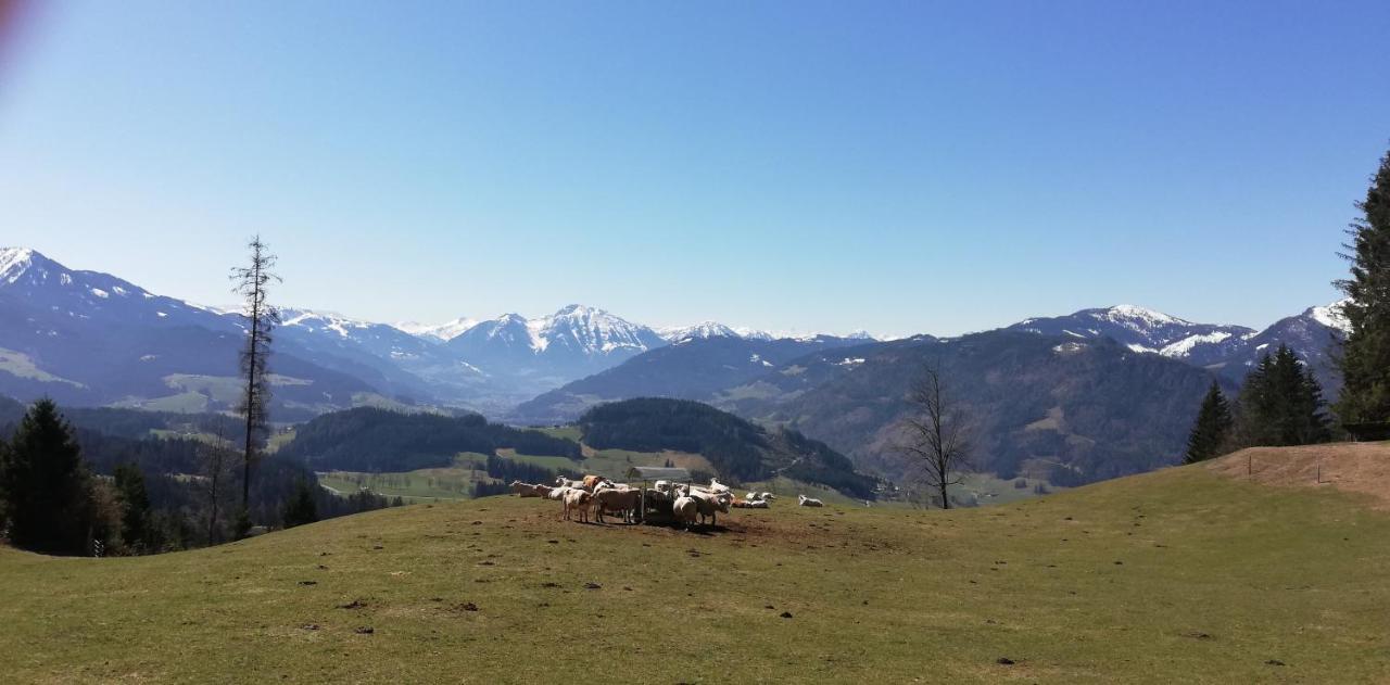 Sonneck Pension Pfarrwerfen Bagian luar foto