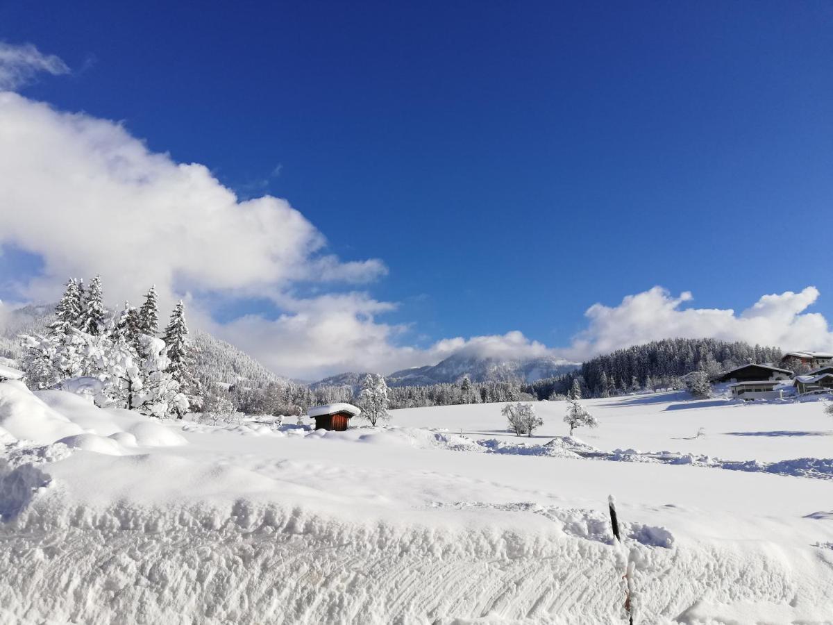 Sonneck Pension Pfarrwerfen Bagian luar foto