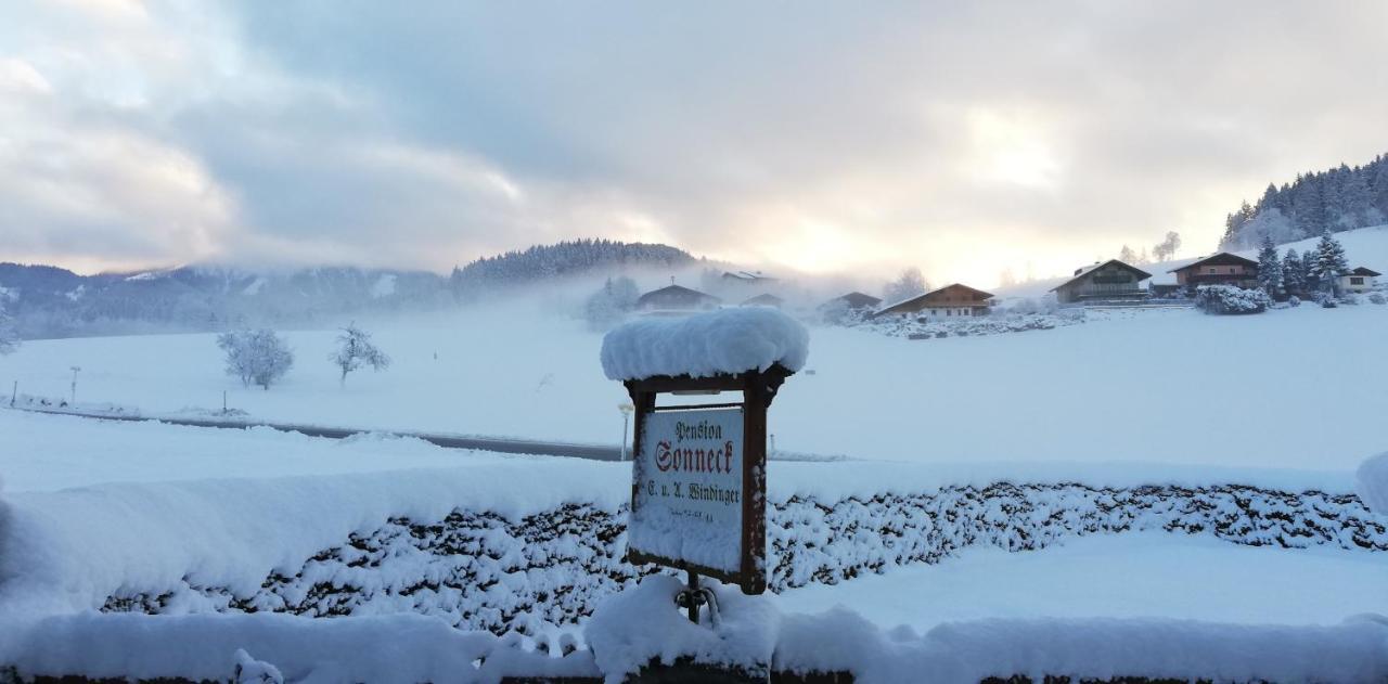 Sonneck Pension Pfarrwerfen Bagian luar foto