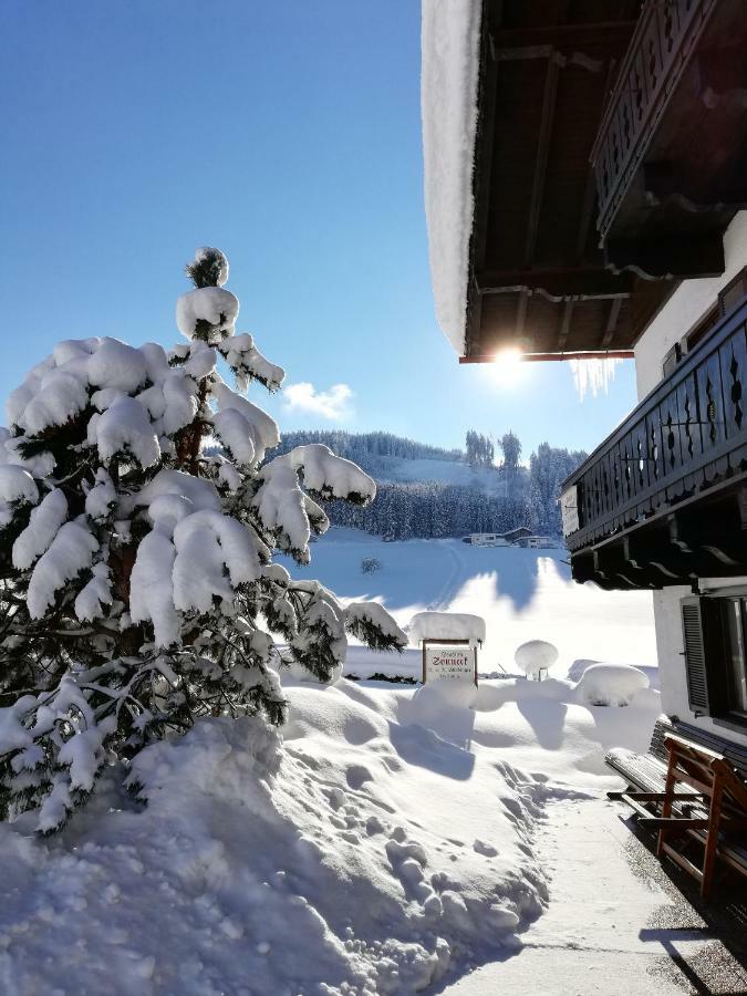 Sonneck Pension Pfarrwerfen Bagian luar foto